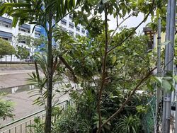 Bedok Road (D16), Semi-Detached #530225611
